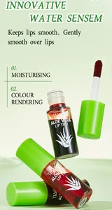 Detailed view of aloe vera lip tint showcasing its moisturizing formula and applicator