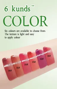 Lipstick set swatches showing six light texture shades on skin for a 6-color selection.
