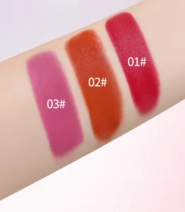 Hoge resolutie detailweergave van matte kussen blush swatches in drie tinten op een arm