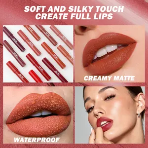 Detailansicht des professionellen matten Lippenstift-Sets mit wasserfester Textur und Effekt