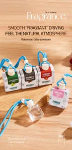Sélection de pendentifs désodorisants pour voiture avec divers parfums de fruits