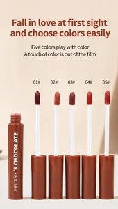 Detailed display of Meidian chocolate lip glaze set featuring five matte shades and applicators