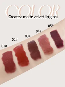 Matte velvet lip gloss arm swatches showing 5 chocolate shades numbered 01 to 05
