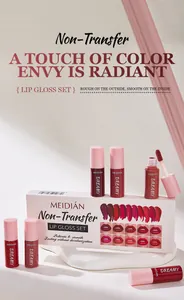 Professional 10-piece non-transfer lip gloss set by MEIDIAN with elegant pink packaging.