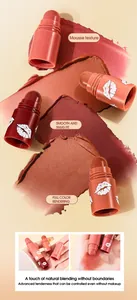 Detail view of the 4-in-1 mousse lipstick pen with color swatches and textures.