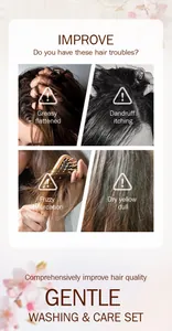 Detail showing common hair problems like dandruff and frizz for shampoo care set.