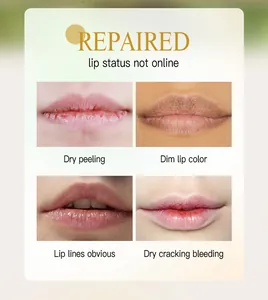 Detailansicht von trockenen und rissigen Lippen für eine feuchtigkeitsspendende Pflege