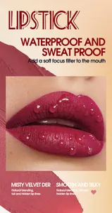 Close-up detail of waterproof matte lipstick showing misty velvet finish on lips