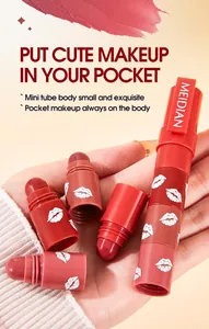 MEIDIAN 4-in-1 matte lipstick pen detail view showing the mini portable tube design