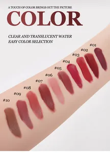 Swatches of 10-piece non-stick lip glaze set on arm in various shades