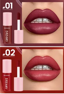 Detailed comparison of MEIDIAN non-stick lip glaze shades #01 and #02 with matte finish