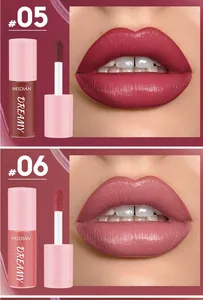 Detailed swatches of MEIDIAN non-stick lip glaze showing shades 05 berry and 06 dusty rose