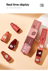 4-in-1 velvet lipstick pen set showing detachable multi-color segments and box.