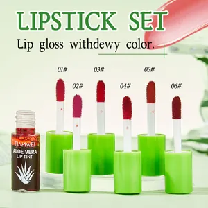 Professional six-color long-lasting waterproof lipstick set including aloe vera lip tint