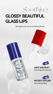 Makroansicht der bosuya glänzenden Lippenölflasche und des weichen Textur-Applikators