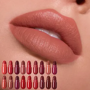 Macro view of matte nude lipstick applied on lips with 18-color capsule set display