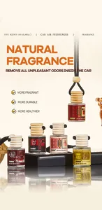 Vue détaillée des désodorisants de voiture FORMBO en cinq parfums naturels différents