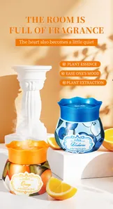 Vue détaillée des gels désodorisants aux parfums de myrtille et d'orange avec motifs