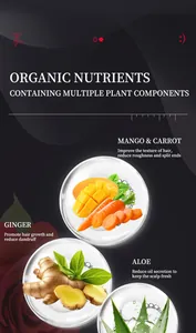 Dettaglio ingredienti bio per capelli come zenzero aloe mango e carota estratti