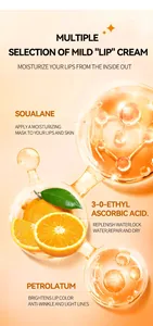 Détail des ingrédients de la crème à lèvres hydratante : squalane et vitamine C