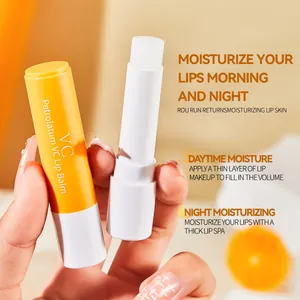 Stick baume à lèvres hydratant à la vitamine C et au pétrolatum pour soins de jour et de nuit