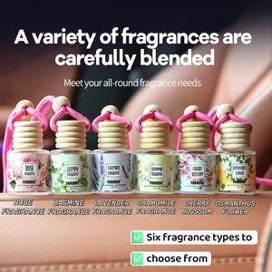 Coffret de 6 diffuseurs de parfum à suspendre FORMBO pour voiture, parfums floraux