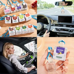 Lot de 12 bouteilles en verre de parfum pour voiture à suspendre avec divers parfums