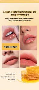 Macro detail shots showing glossy lip balm results and moisturizing honey ingredients