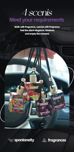 Vue détaillée des désodorisants de voiture FORMBO suspendus aux parfums de fruits divers