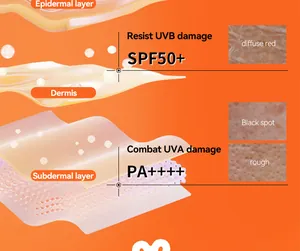 Détail montrant la protection SPF50+ et PA++++ pour les couches de la peau