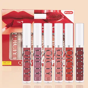 Detailed view of six-piece QICIY matte lip gloss set in varied shades with outer box packaging