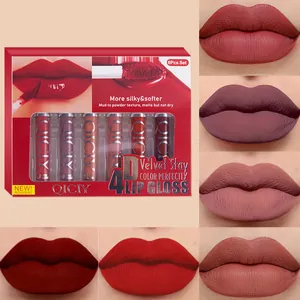 Detailed view of QICIY 6pcs matte lip gloss set with various lip color swatches.