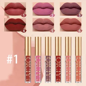 Professional detailed view of QICIY matte lip gloss set featuring six velvet shades and swatches