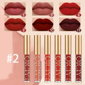 Detailed macro view of QICIY matte lip gloss tubes with lip swatch color comparison.