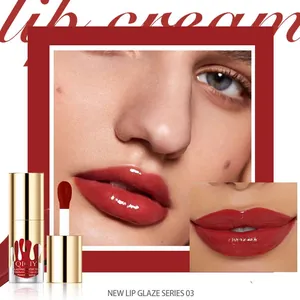 Hochglänzender Water Tint Lipglaze von QICIY in Farbton Series 03, feuchtigkeitsspendend