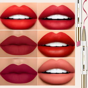 Vista detallada de los tonos de lápiz labial mate QICIY y perfilador de labios duo