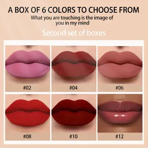 Close-up swatches of a 6-color lip gloss set with matte and glossy finishes for women
