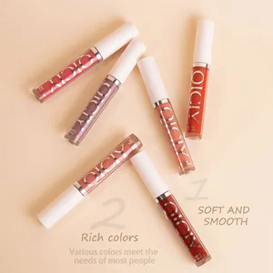 QICIY professional 6-color matte lip gloss set featuring a smooth and rich color range