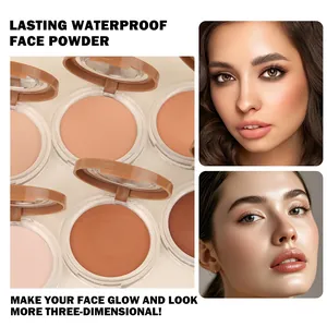 6-Farben wasserfestes mattes Gesichtspuder-Kompaktset für langanhaltendes Make-up