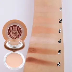 Detailansicht der QICIOY 6-Farben-Puder-Swatches auf dem Arm von hell bis dunkel gestuft.