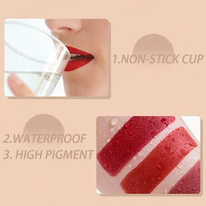 Waterproof matte lip gloss set showing non-stick cup and high pigment features