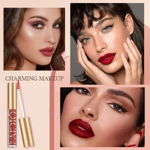Professional QICIY matte lip gloss showing detailed makeup effect on different models' lips
