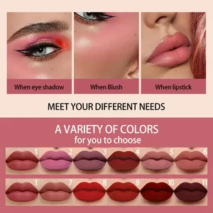 Professional 11-color matte lip tint set suitable for lipstick, blush, and eyeshadow use