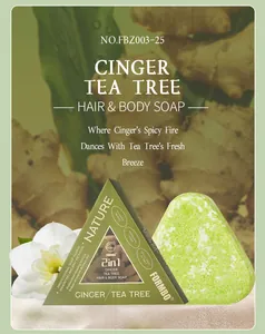 Jabón 2 en 1 de jengibre y árbol de té FORMBO para cabello y cuerpo con extractos naturales