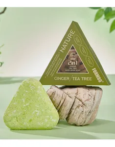 Vista detallada del jabón artesanal triangular de jengibre y árbol de té con caja