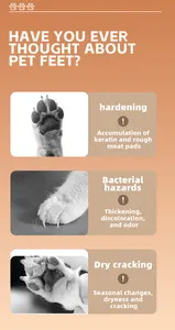 Close-up detail showing common pet paw issues like dry cracking and bacterial hazards
