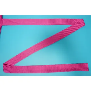 Close-up macro view of a bright pink pleated fabric strap with vertical crinkle texture.