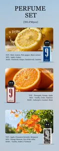 Λεπτομέρειες σετ 3 αρωμάτων 50ml με αρωματικές νότες για Dive, Rebel και Night Oud
