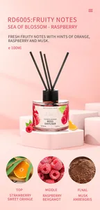 Premium fruchtiger Diffusor mit Himbeer- und Moschusduftprofil in der Detailansicht