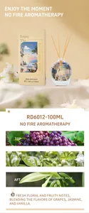 Λεπτομερής προβολή αρωματικού χώρου RD6012 100ml με νότες αρώματος και κουτί